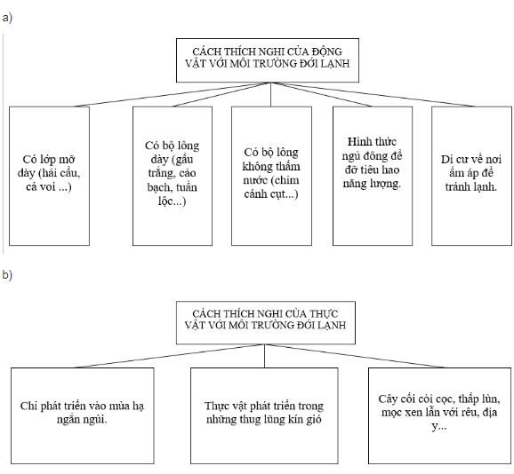 bài tập địa lý
