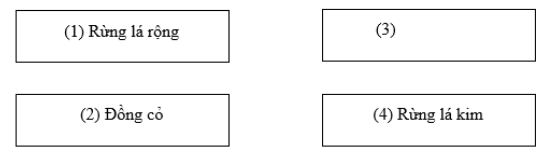 bài tập địa lý