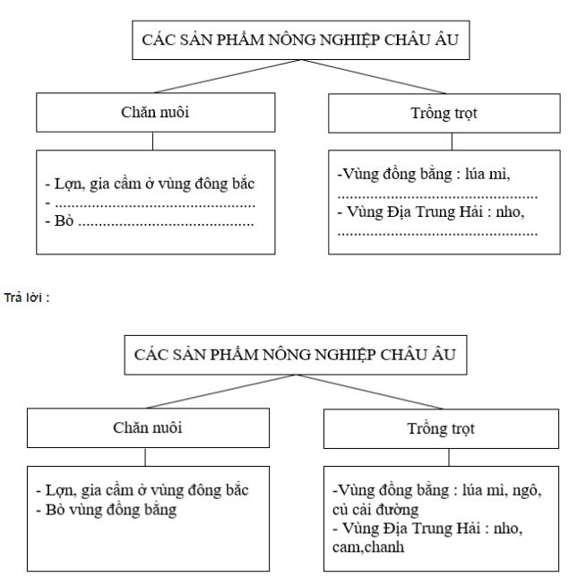 Bài tập địa lý