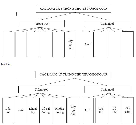 Bài tập địa lý