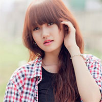 Giải bài tập Ngữ văn lớp 11: Ôn tập văn học trung đại Việt Nam