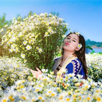 Giải bài tập SBT Lịch sử lớp 8 bài 24: Cuộc kháng chiến từ năm 1858 đến năm 1873