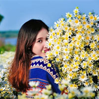 Giải bài tập SBT Lịch sử lớp 8 bài 26: Phong trào kháng chiến chống Pháp trong những năm cuối thế kỉ XIX