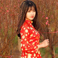 Giải bài tập Ngữ văn lớp 11: Thương vợ