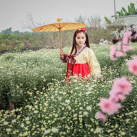 Giải bài tập SBT Lịch sử lớp 9 bài 31: Việt Nam trong năm đầu sau đại thắng xuân 1975