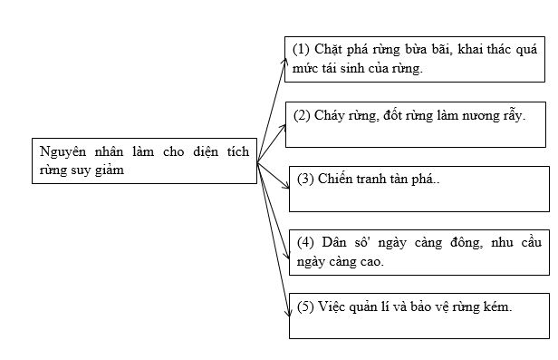 Bài tập địa lý
