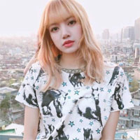 Giải bài tập SBT Địa lý 8 bài 39: Đặc điểm chung của tự nhiên Việt Nam