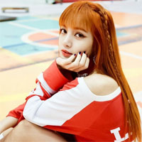 Giải bài tập SBT Địa lý 8 bài 40: Thực hành đọc lát cắt địa lý tự nhiên tổng hợp