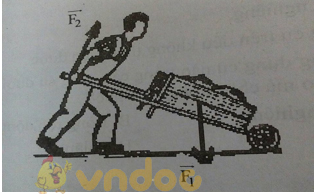 Đề kiểm tra 15 phút học kì 1 lớp 6 môn Vật lý - Đề 23