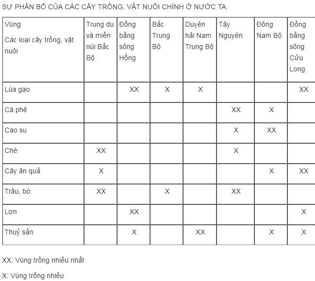 Bài tập địa lý 9