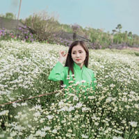 Giải bài tập SBT Lịch sử lớp 10 bài 12: Ôn tập lịch sử thế giới người nguyên thủy, cổ đại và trung đại