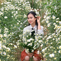 Giải bài tập SBT Lịch sử lớp 10 bài 9: Vương quốc Cam-pu-chia và Vương quốc Lào