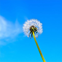 Đề kiểm tra 15 phút môn tiếng Anh lớp 9 (Số 10)