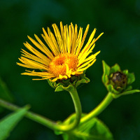 Đề kiểm tra 15 phút môn tiếng Anh lớp 9 (Số 8)