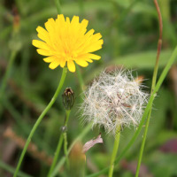 Đề kiểm tra 15 phút môn tiếng Anh lớp 9 (Số 9)