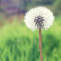 Đề kiểm tra 15 phút Tiếng Anh 8 có đáp án (Số 1)