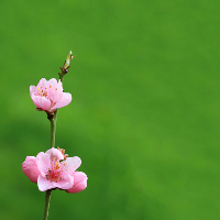 Đề kiểm tra 15 phút Tiếng Anh 8 có đáp án (Số 2)