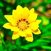 Đề kiểm tra 15 phút Tiếng Anh lớp 8 có đáp án (Số 7)