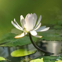 Đề kiểm tra 15 phút Tiếng Anh lớp 8 có đáp án (Số 8)