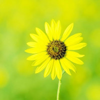 Đề kiểm tra học kì 1 môn tiếng Anh 8 có đáp án (Số 1)