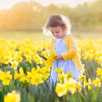 Đề thi học kì 1 lớp 4 môn Lịch sử - Địa lý năm 2017 - 2018