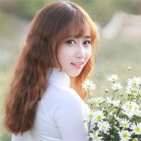 Bộ đề ôn thi học kỳ 1 môn Toán lớp 12 năm học 2017 - 2018, Sở GD&ĐT Thừa Thiên Huế