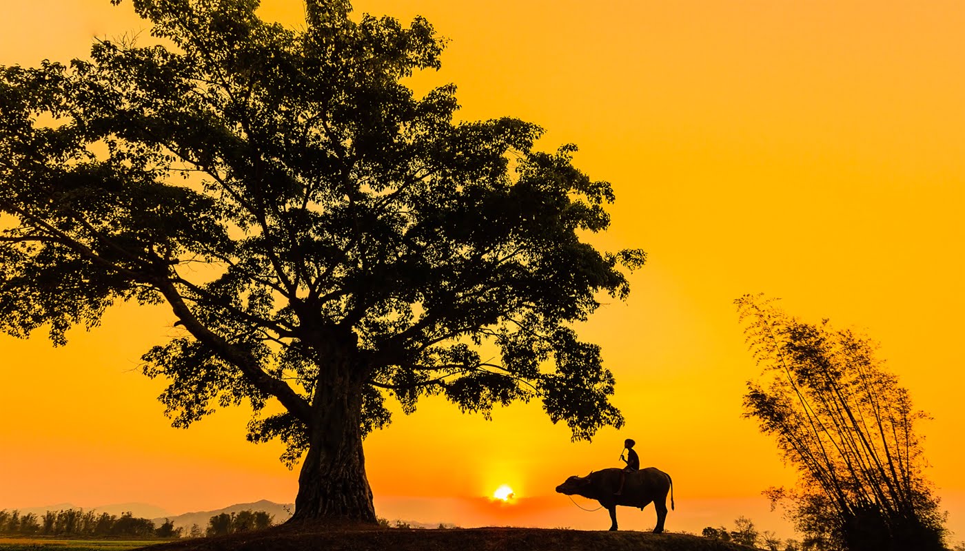 Tả cảnh hoàng hôn trên quê em