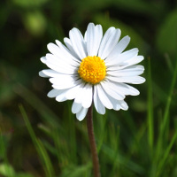 10 đề thi học kì 1 lớp 8 môn tiếng Anh