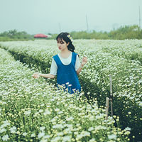 Giáo án Công nghệ 9 bài 2: Vật liệu điện dùng trong lắp đặt mạng điện trong nhà (Tiết 2)