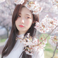 Giáo án Lịch sử lớp 9 bài 11: Trật tự thế giới mới sau chiến tranh thế giới thứ hai