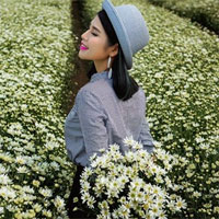 Dàn ý Trình bày quan điểm trước cuộc vận động Nói không với những tiêu cực trong thi cử và bệnh thành tích trong giáo dục