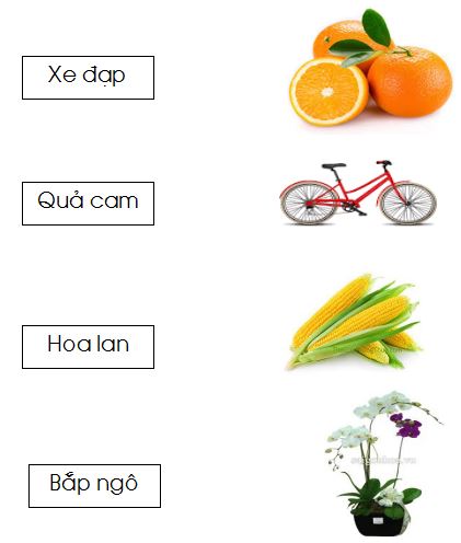 Đề thi học kì 1 Tiếng Việt lớp 1