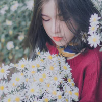 Giáo án Tin học 6 bài 2: Thông tin và biểu diễn thông tin (Tiếp theo)