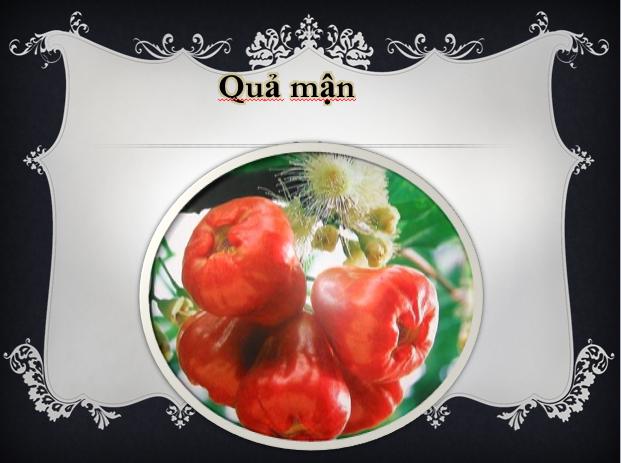 Đề thi học kì 1 môn Tin học lớp 4