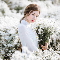 Giáo án Tin học 6 bài 11: Tổ chức thông tin trong máy tính