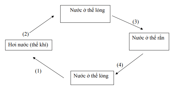 Đề thi học kì 1 môn Khoa học lớp 4
