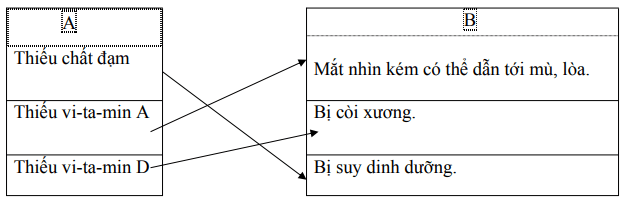 Đề thi học kì 1 môn Khoa học lớp 4