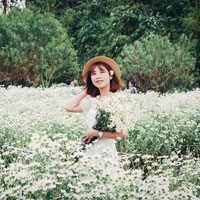 Giáo án Tin học 6 bài 14: Soạn thảo văn bản đơn giản