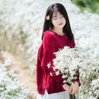 Giáo án Tin học 6: Bài tập (chương 3)