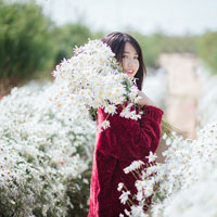 Giáo án Tin học 6: Bài thực hành 4: Các thao tác với tệp tin (Tiếp theo)