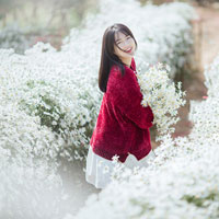 Giáo án Tin học 6: Bài kiểm tra 1 tiết, số 2