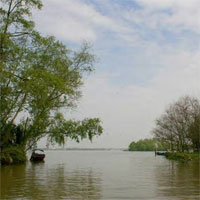 Tiểu sử cuộc đời và sự nghiệp sáng tác của nhà thơ Hoàng Cầm