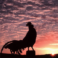 Tiểu sử cuộc đời và sự nghiệp sáng tác của nhà thơ Lê Anh Xuân