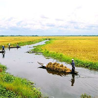 Tiểu sử cuộc đời và sự nghiệp sáng tác của nhà thơ Trần Đăng Khoa