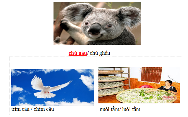 Đề thi học kì 1 lớp 1 môn Tiếng Việt