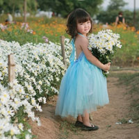 Giáo án Tin học 6: Bài thực hành 5: Văn bản đầu tiên của em (Tiếp theo)