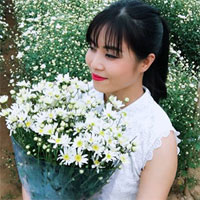 Phân tích bài thơ Thuật hoài để làm sáng tỏ hào khí đời Trần