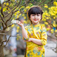 Giáo án Tin học 6 bài 18: Trình bày trang văn bản và in