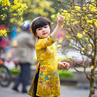 Giáo án Tin học 6 bài 20: Thêm hình ảnh để minh họa