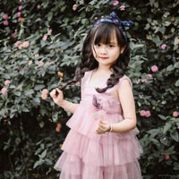 Giáo án Tin học 6 bài 20: Thêm hình ảnh để minh họa (Tiếp theo)